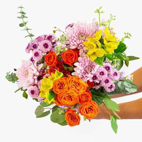 Radiant Blooms