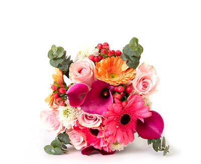 Bloomsy ORIGINAL