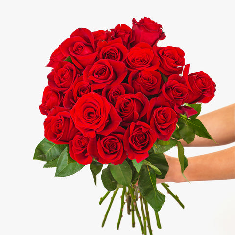 Splendid Red Roses