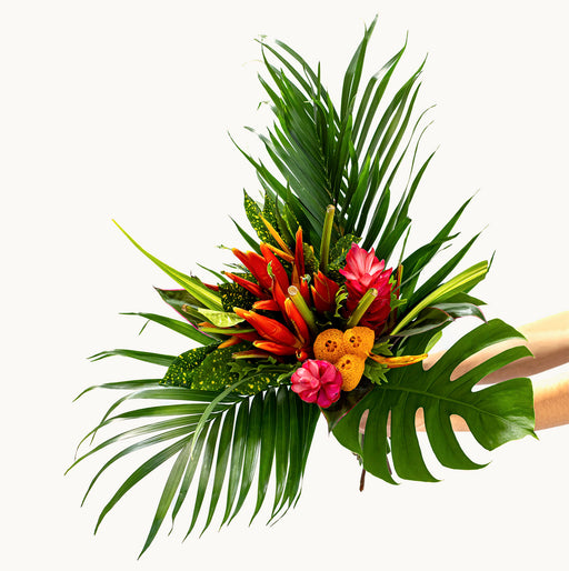 Botanical Paradise