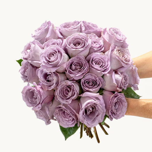 Lavender Mist
