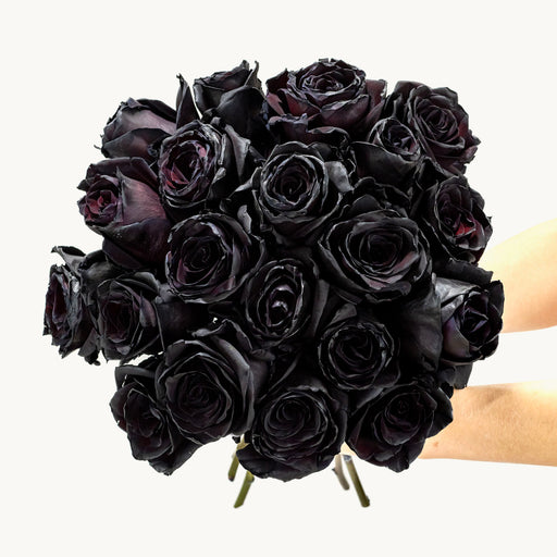 Black Velvet