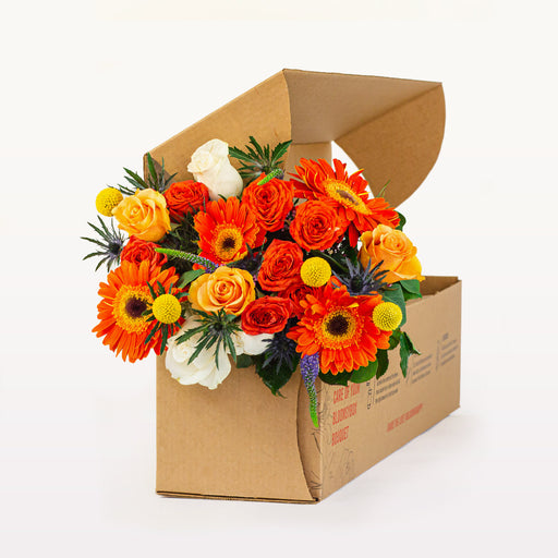 Bloomsy Bi-Weekly - 6 Weeks Prepay