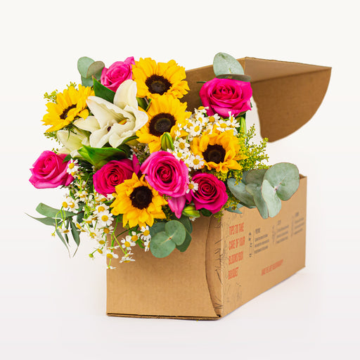 Bloomsy Deluxe Subscription