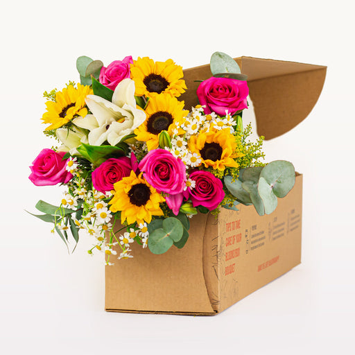 Bloomsy Deluxe - 3 Month Prepay