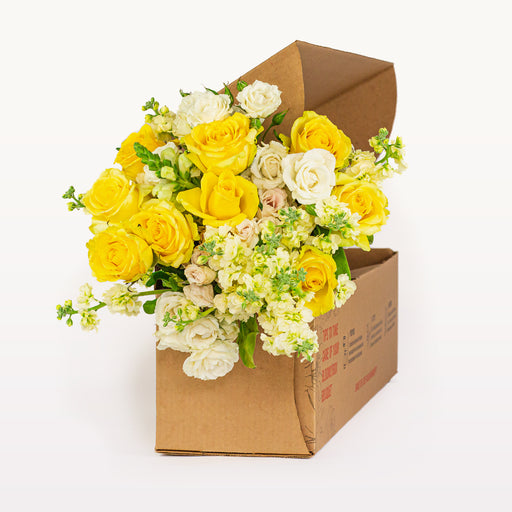 Pet-Safe Blooms(subs)