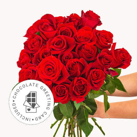 Splendid Red Roses + Chocolate Greeting Card