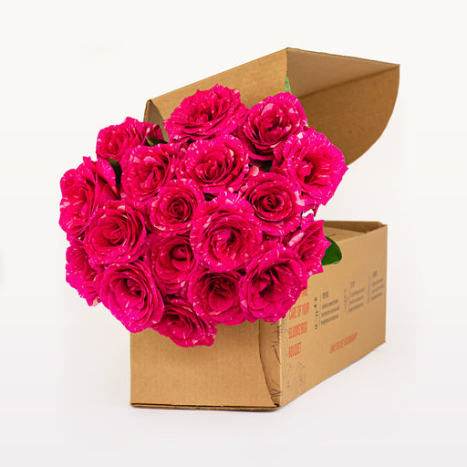 Bloomsy Roses Subscription