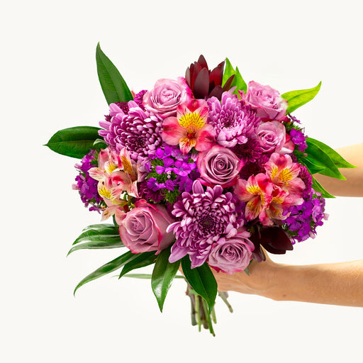 Bloomsy Original 6 Month PrePaid