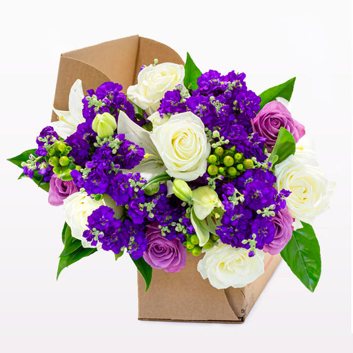 Bloomsy Premium - 3 Month Prepay
