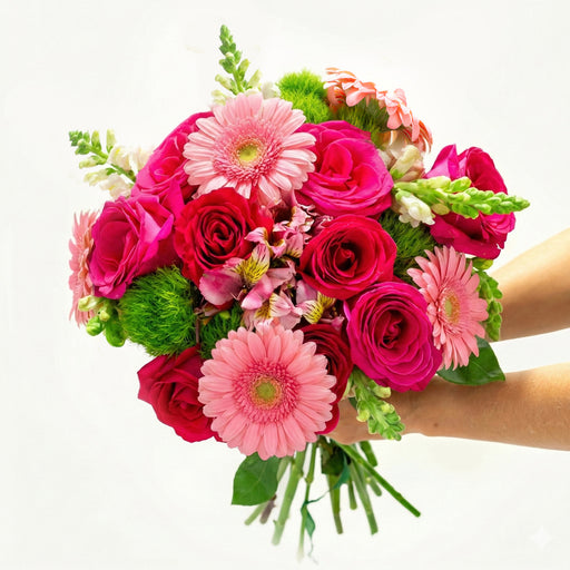 Bloomsy Premium 6 Month PrePaid