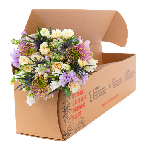 Bloomsy Original