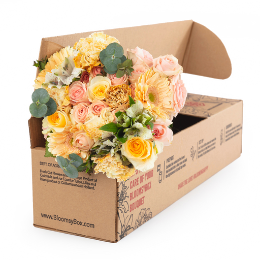 Bloomsy Deluxe