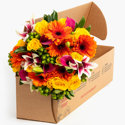 Bloomsy Premium Subscription 6 months
